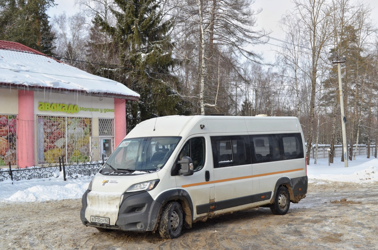 Московская область, Автодом-21080* (Peugeot Boxer) № В 313 СУ 62