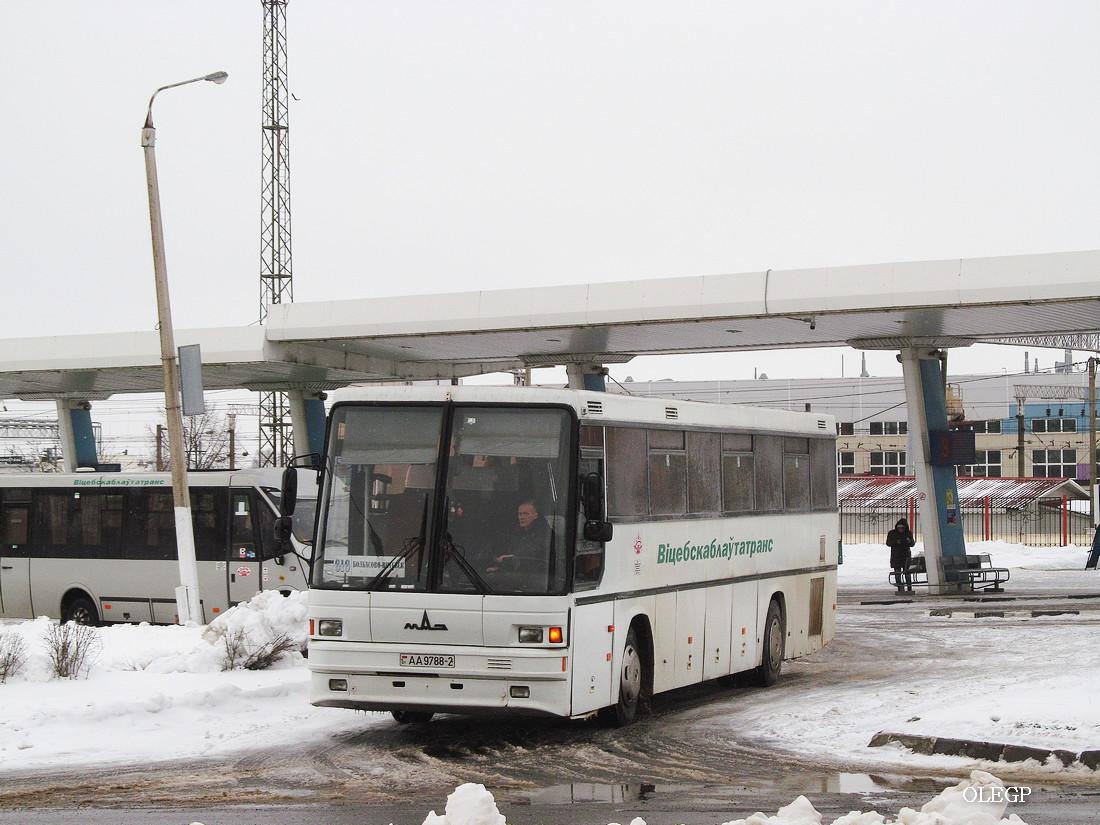 Vitebsk region, MAZ-152.062 # 20559