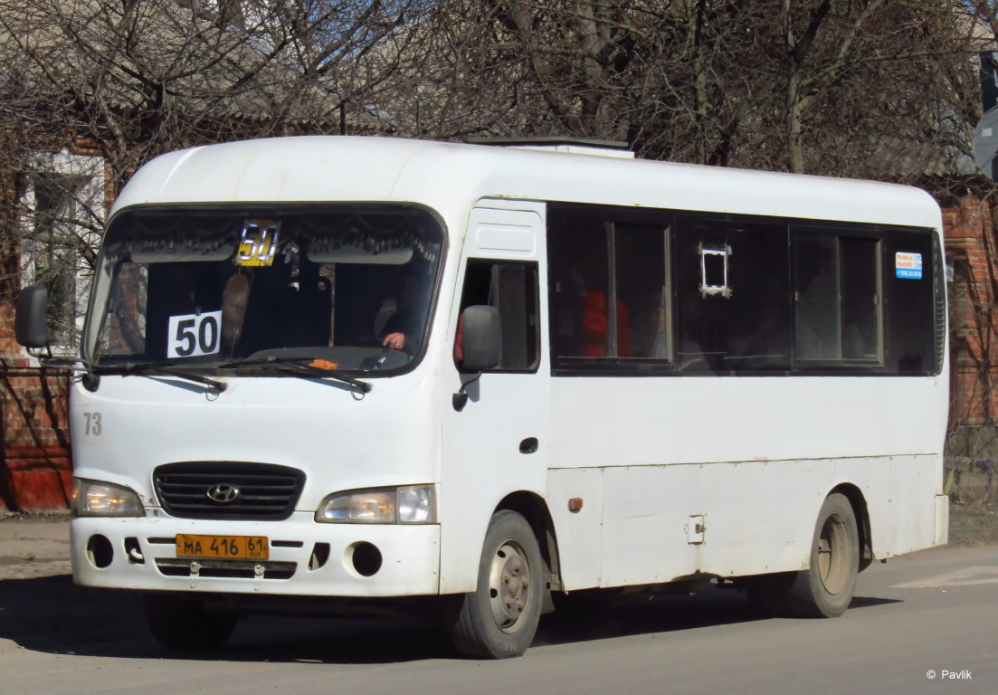 Ростовская область, Hyundai County LWB C09 (ТагАЗ) № 73