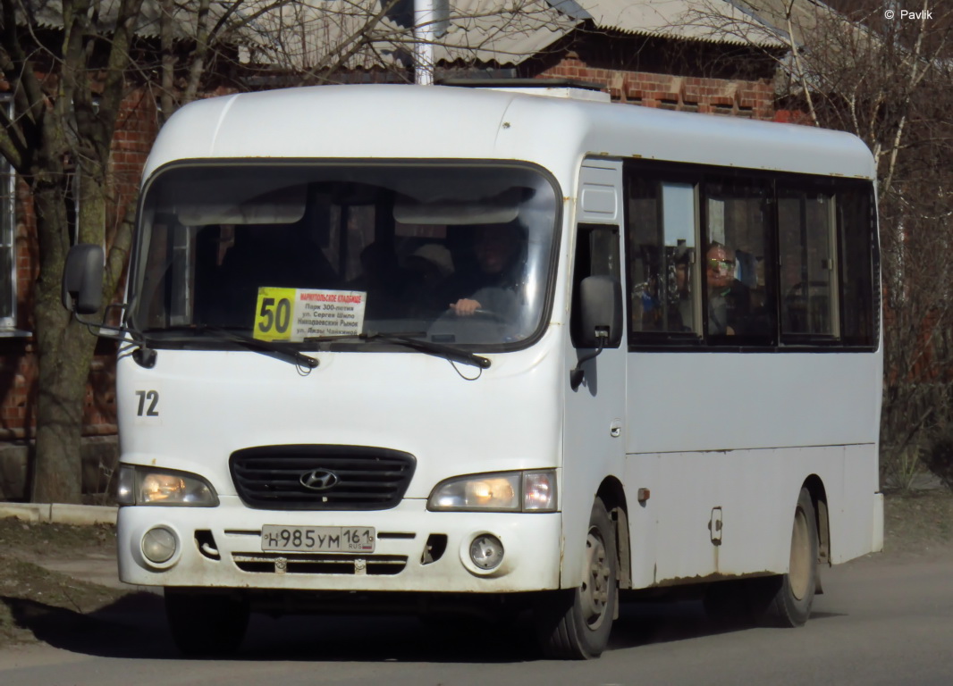 Ростовская область, Hyundai County LWB C09 (ТагАЗ) № 72