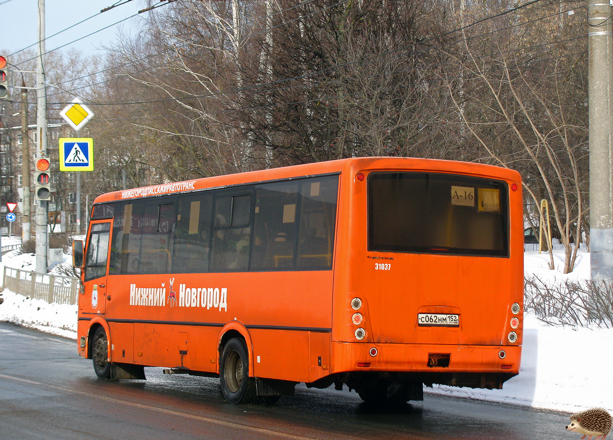 Нижегородская область, ПАЗ-320414-04 "Вектор" № 31037