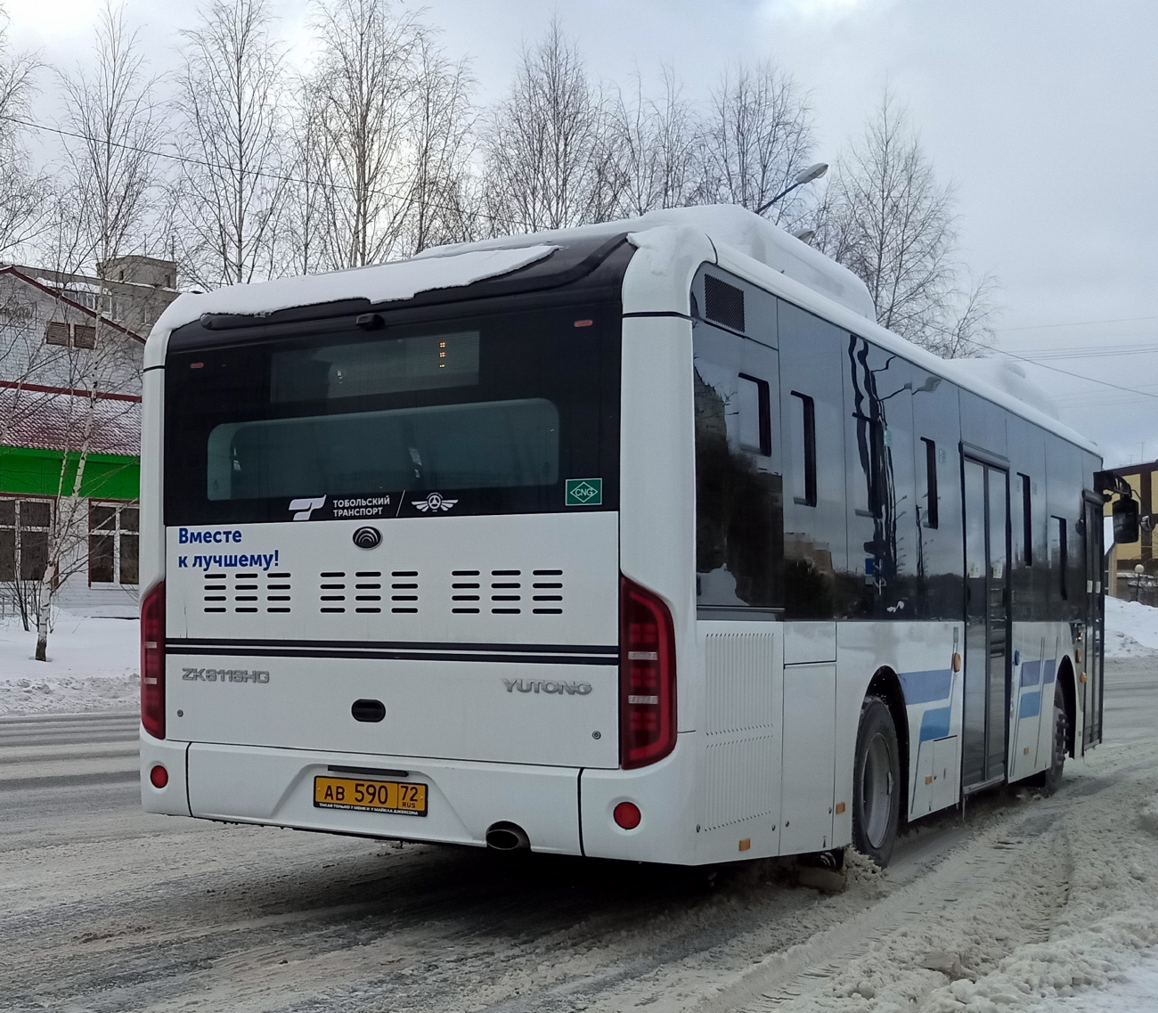 Тюменская область, Yutong ZK6116HG № 1113