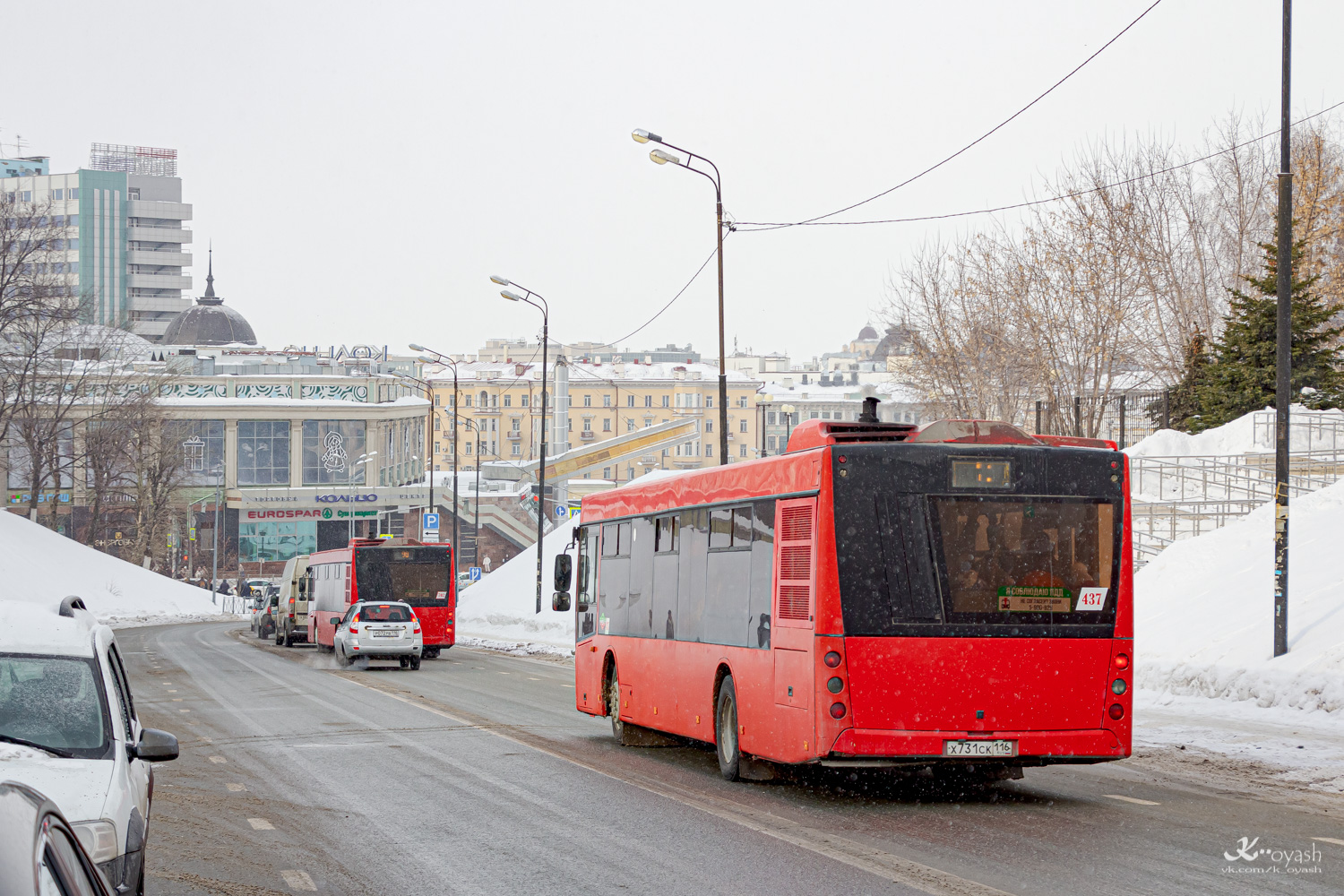 Татарстан, МАЗ-203.069 № 437