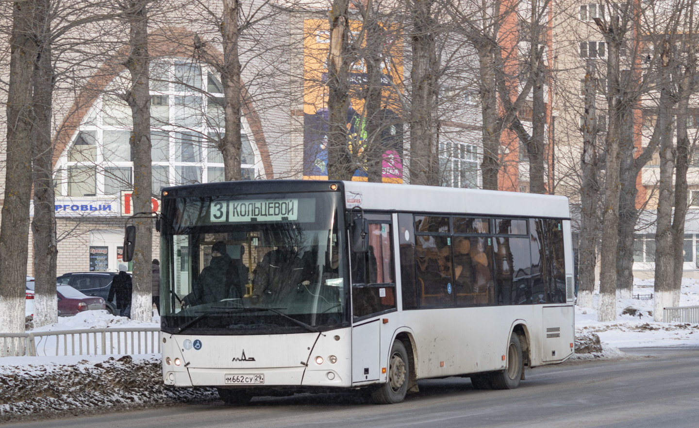 Архангельская область, МАЗ-206.085 № М 662 СУ 29