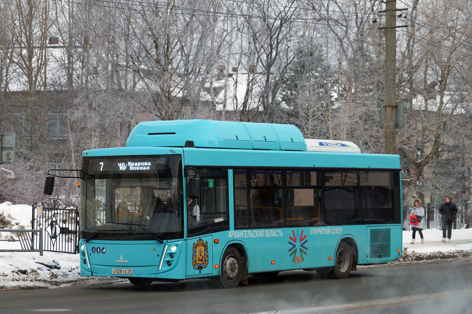 Архангельская область, МАЗ-206.948 № О 528 ТЕ 29