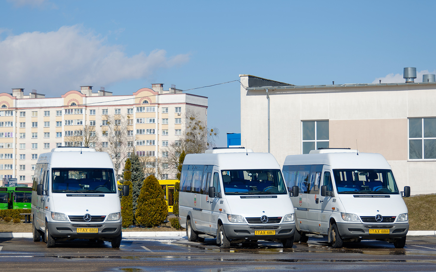 Брестская область, Луидор-223236 (MB Sprinter Classic) № 10680; Брестская область, Луидор-223237 (MB Sprinter Classic) № 10600