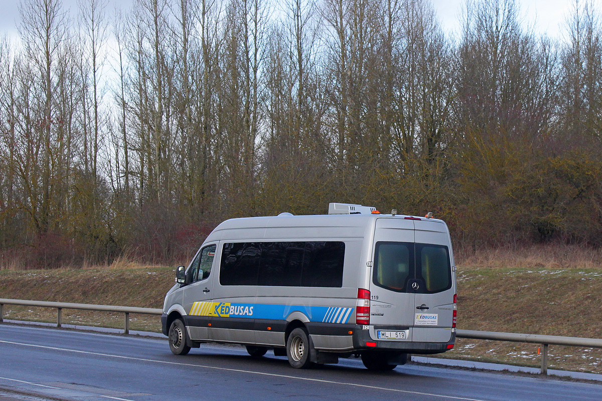 Литва, Mercedes-Benz Sprinter Transfer 45 № 119