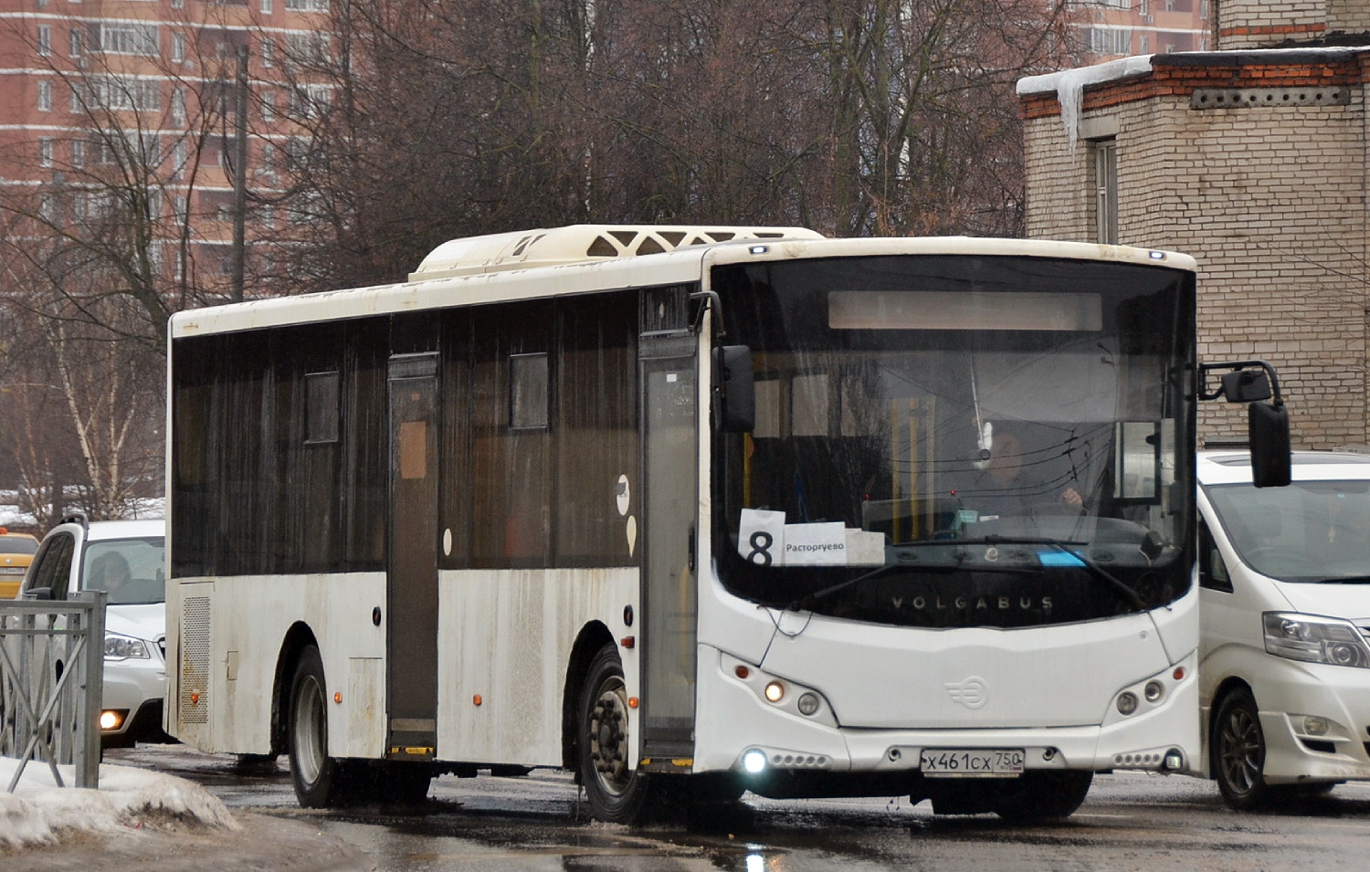 Московская область, Volgabus-5270.0H № Х 461 СХ 750