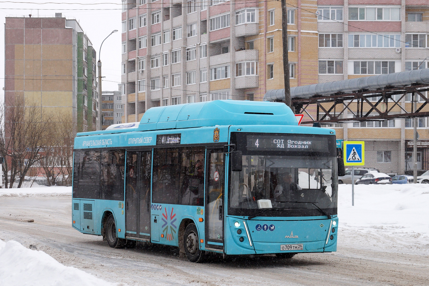 Архангельская область, МАЗ-206.948 № О 709 ТМ 29