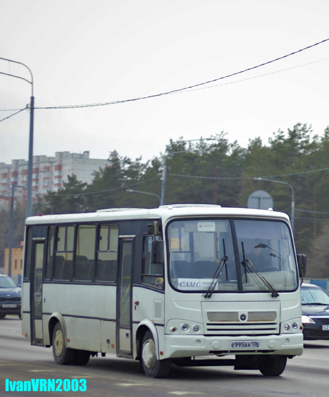 Воронежская область, ПАЗ-320412-03 № Е 995 ВА 136