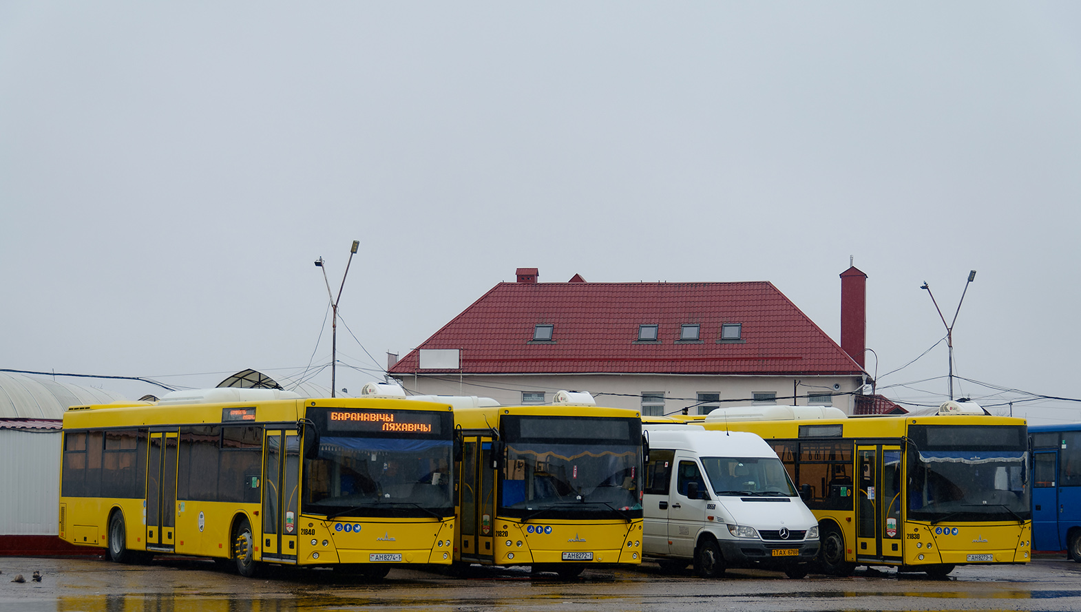 Brest region, MAZ-203.116 Nr. 21840; Brest region — Bus stations, autostations, final stops