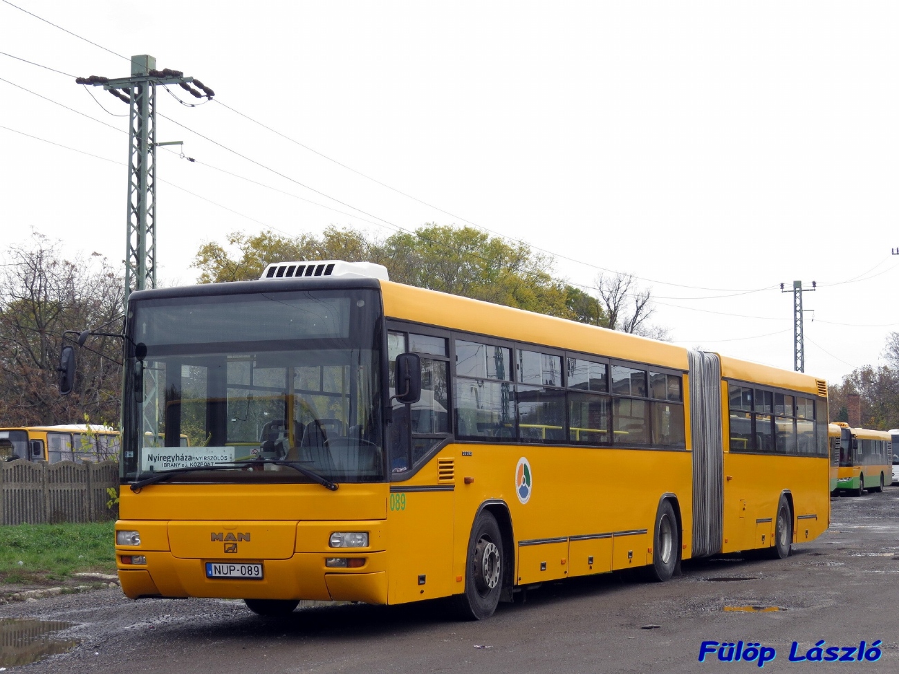 Венгрия, MAN A75 Lion's Classic G SG263 № NUP-089
