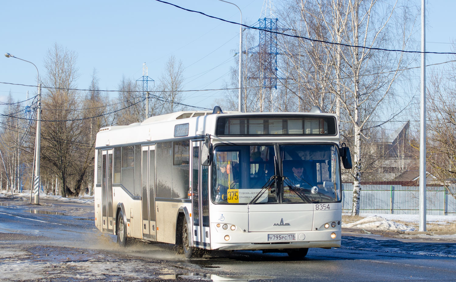 Санкт-Петербург, МАЗ-103.486 № 8354