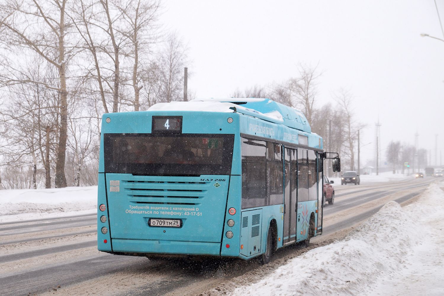 Архангельская область, МАЗ-206.948 № О 709 ТМ 29