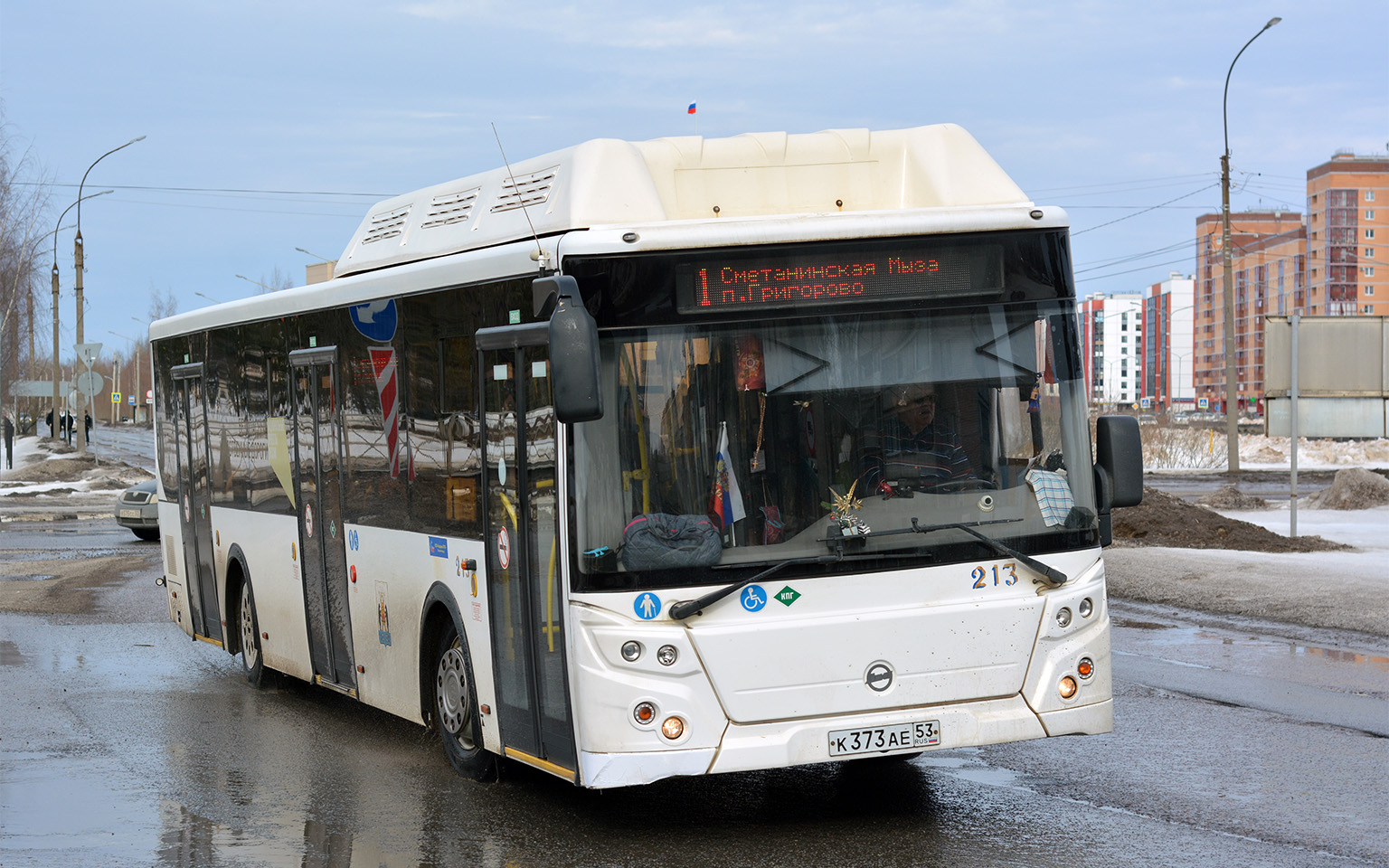 Новгородская область, ЛиАЗ-5292.67 (CNG) № 213