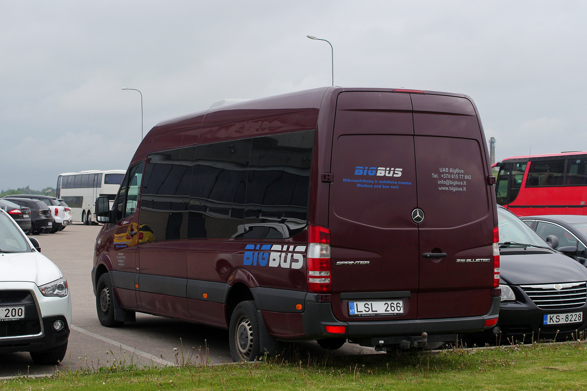 Литва, (прочие модели) № LSL 266