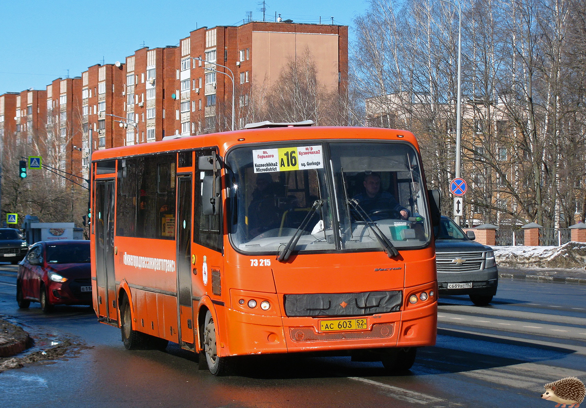 Нижегородская область, ПАЗ-320414-05 "Вектор" (1-2) № 73215