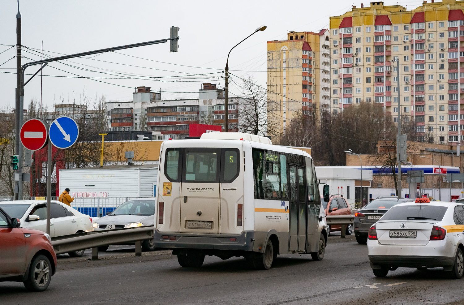 Московская область, Луидор-2250DS (ГАЗ Next) № 3165