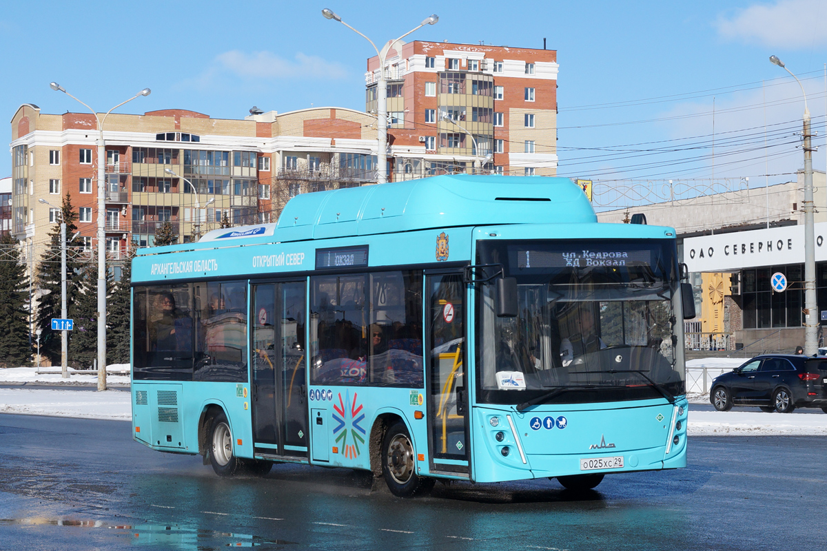 Архангельская область, МАЗ-206.948 № О 025 ХС 29