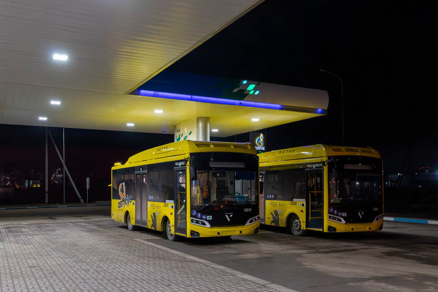 Yaroslavl region, Volgabus-4298.G4 (CNG) Nr. 12019; Yaroslavl region — New buses