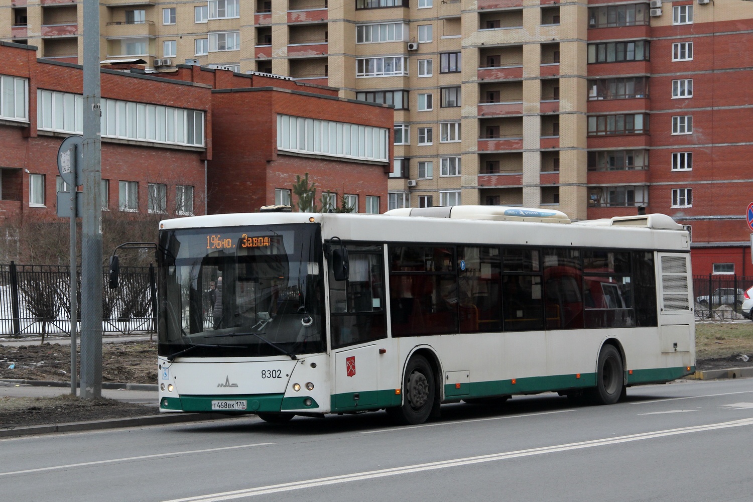 Санкт-Петербург, МАЗ-203.085 № 8302