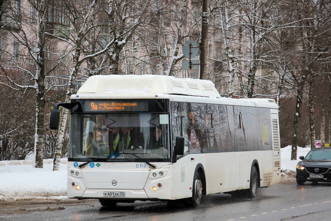 Новгородская область, ЛиАЗ-5292.67 (CNG) № 203