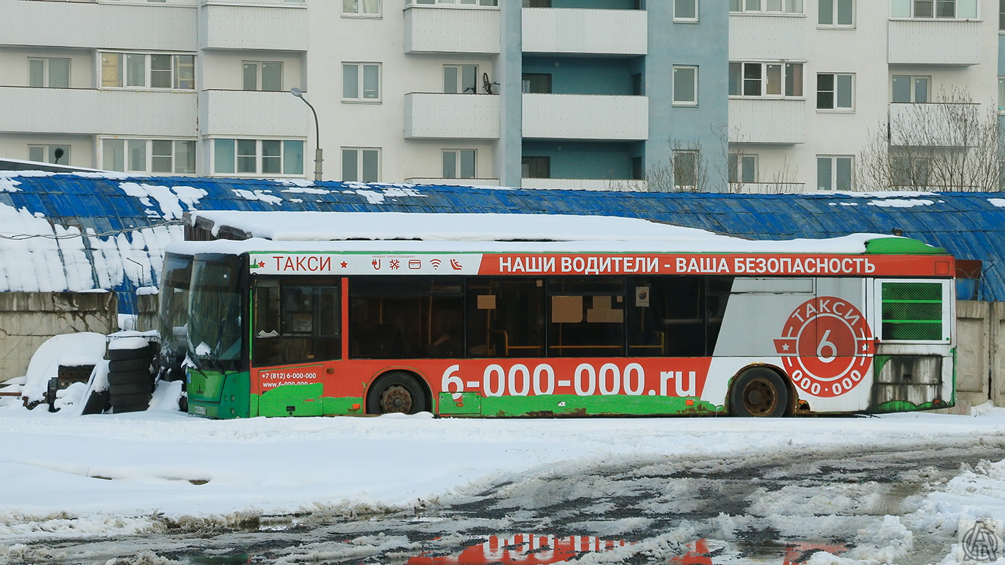 Санкт-Петербург, МАЗ-203.067 № 113; Санкт-Петербург, МАЗ-203.076 № В 948 КУ 178