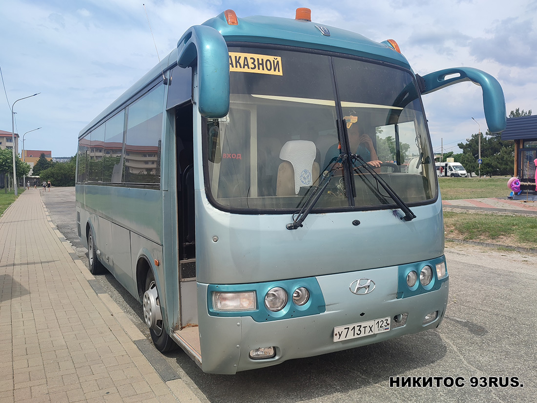 Krasnodar region, Hyundai AeroTown # У 713 ТХ 123