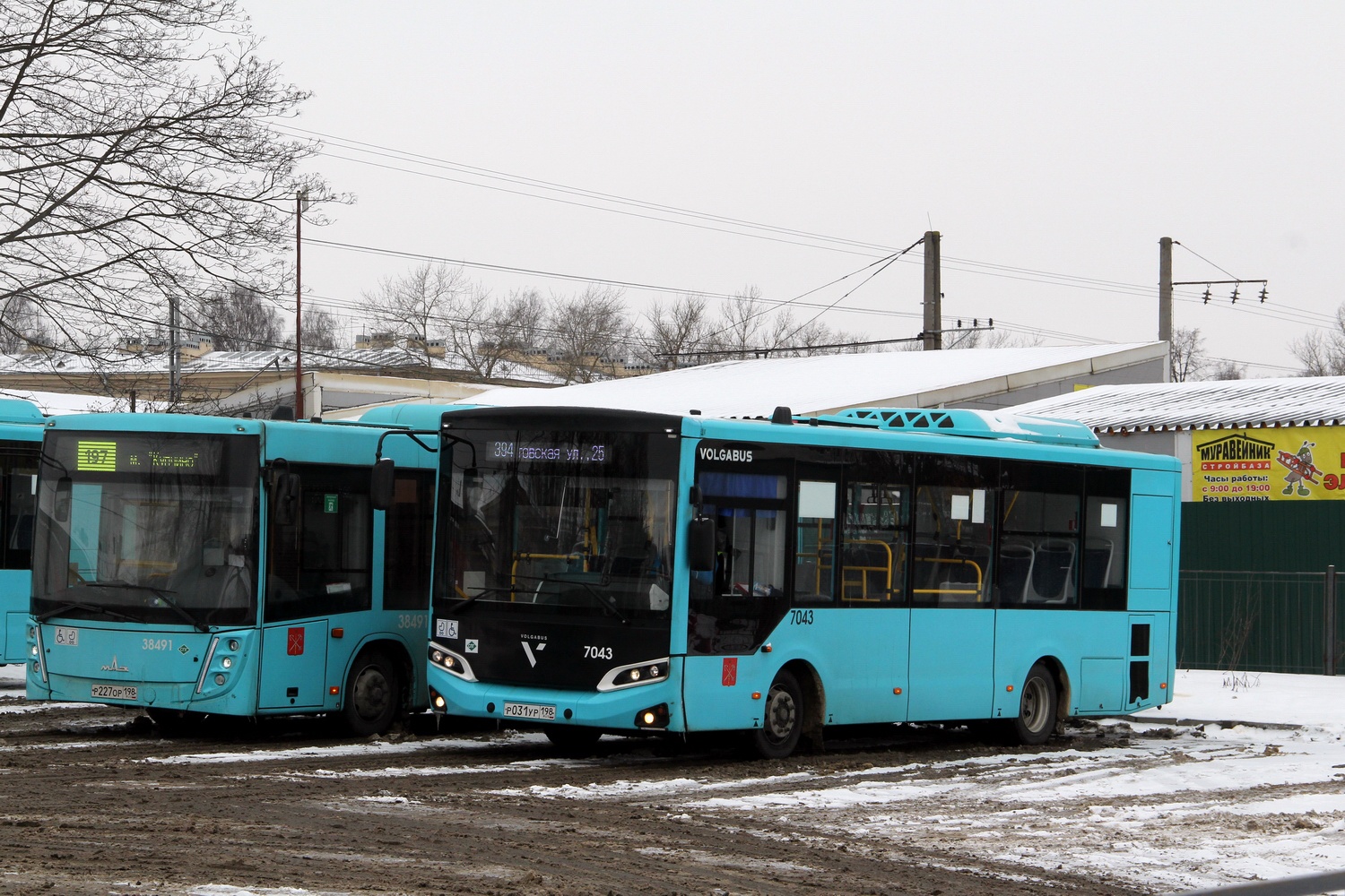 Санкт-Петербург, Volgabus-4298.G4 (LNG) № 7043