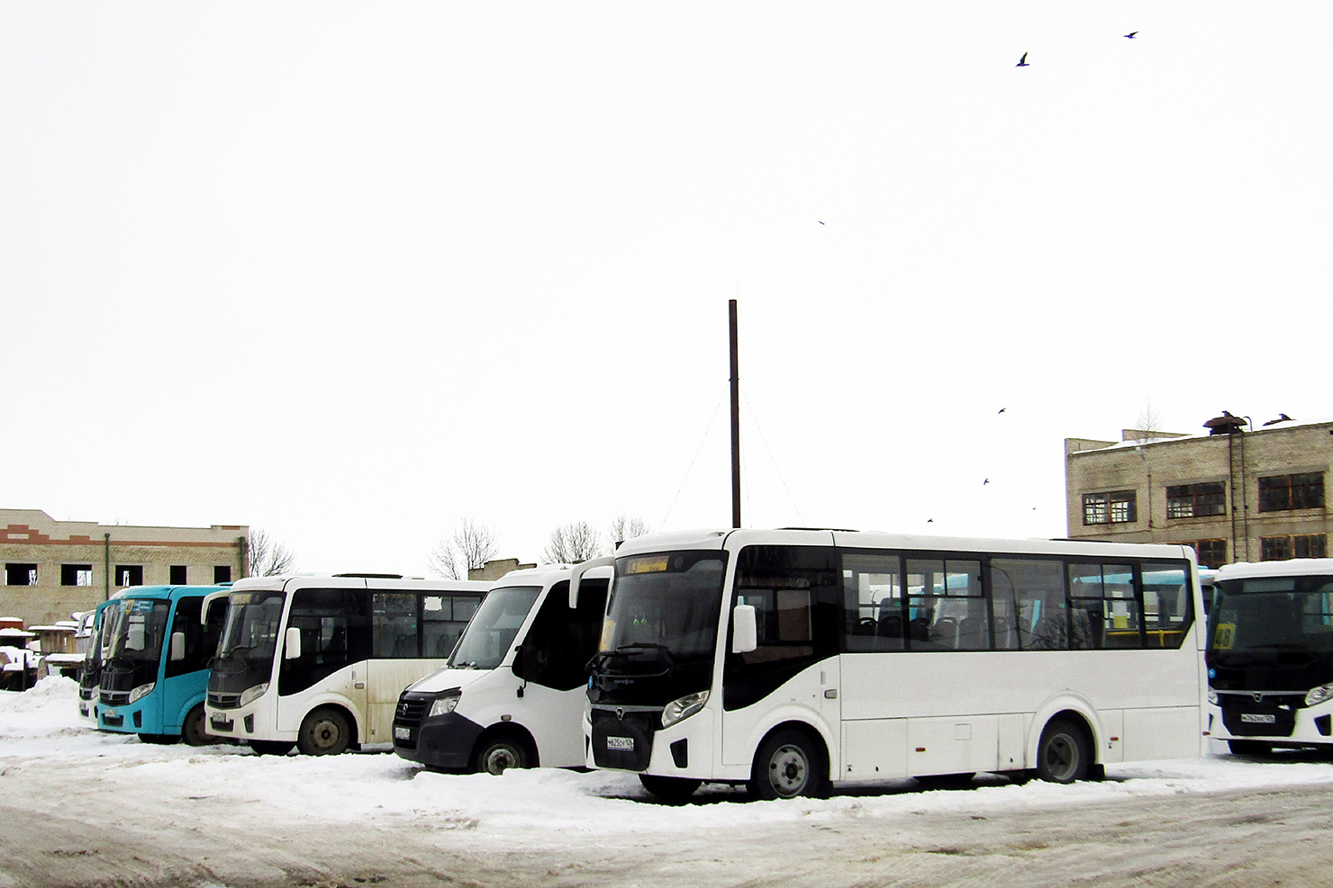 Ставропольский край — Предприятия автобусного транспорта; Ставропольский край — Разные фотографии