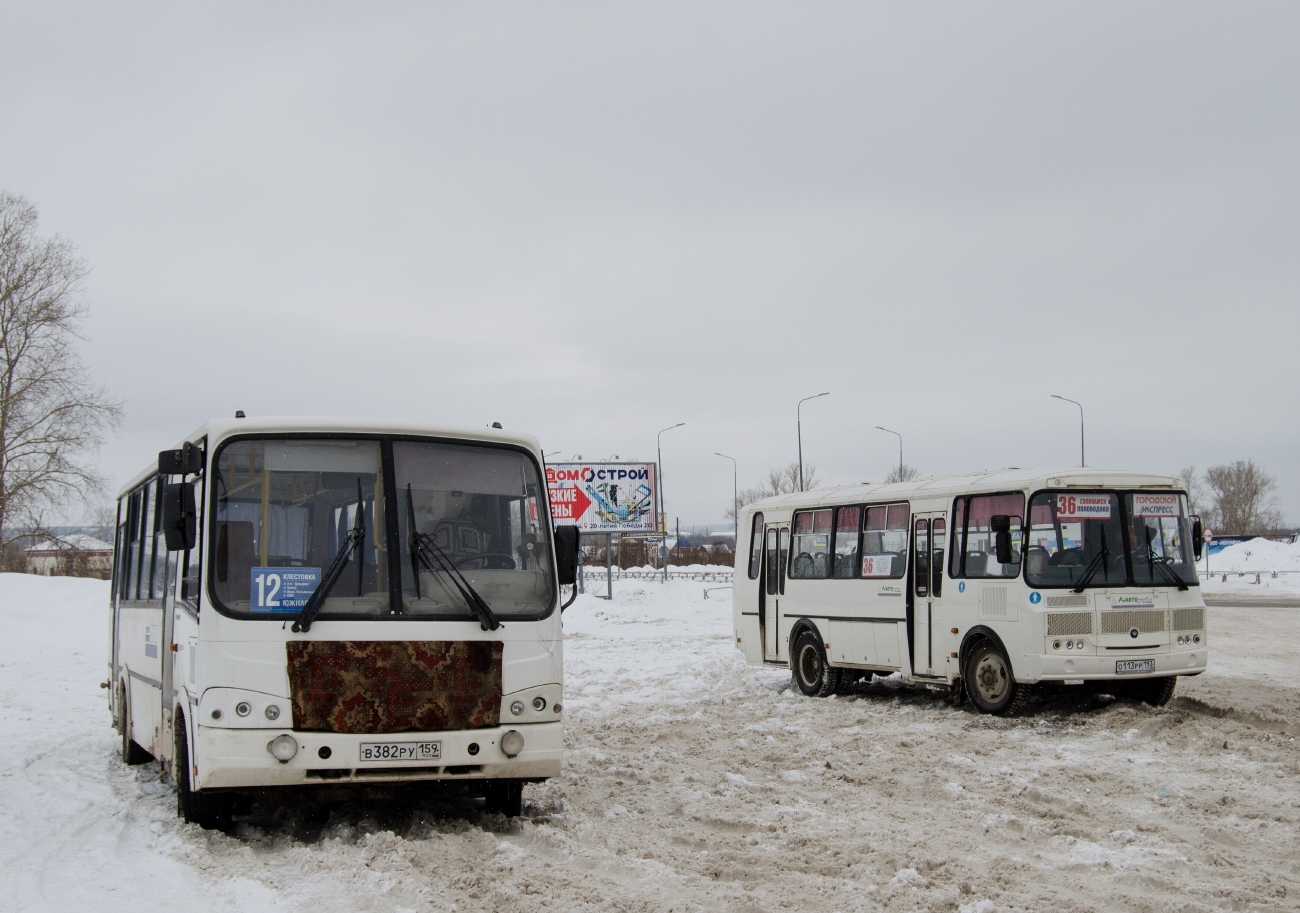 Пермский край, ПАЗ-320412-05 № В 382 РУ 159; Пермский край, ПАЗ-4234-04 № О 113 РР 193