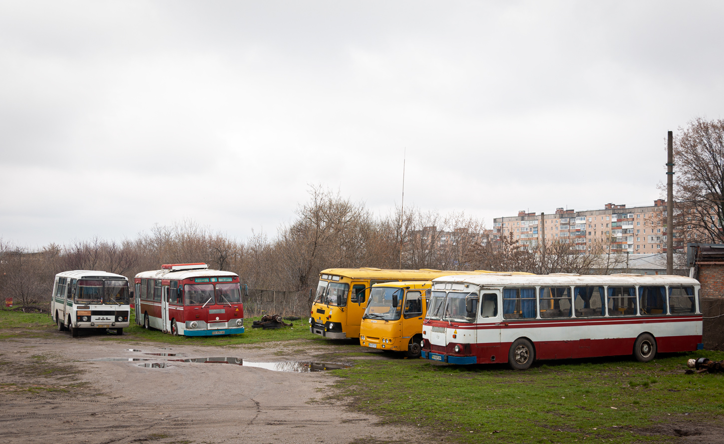 Obwód kirowogradzki, PAZ-32054 Nr BA 0359 AA; Obwód kirowogradzki, LiAZ-677G Nr BA 0534 AB; Obwód kirowogradzki, LiAZ-677M Nr BA 0675 AH