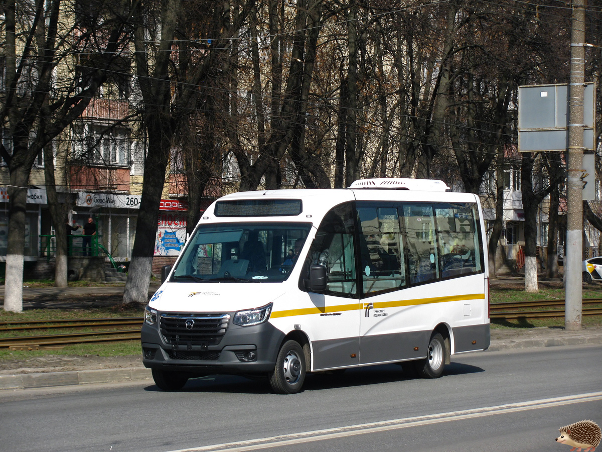 Нижегородская область — Новые автобусы Горьковского автомобильного завода; Московская область — Разные фотографии