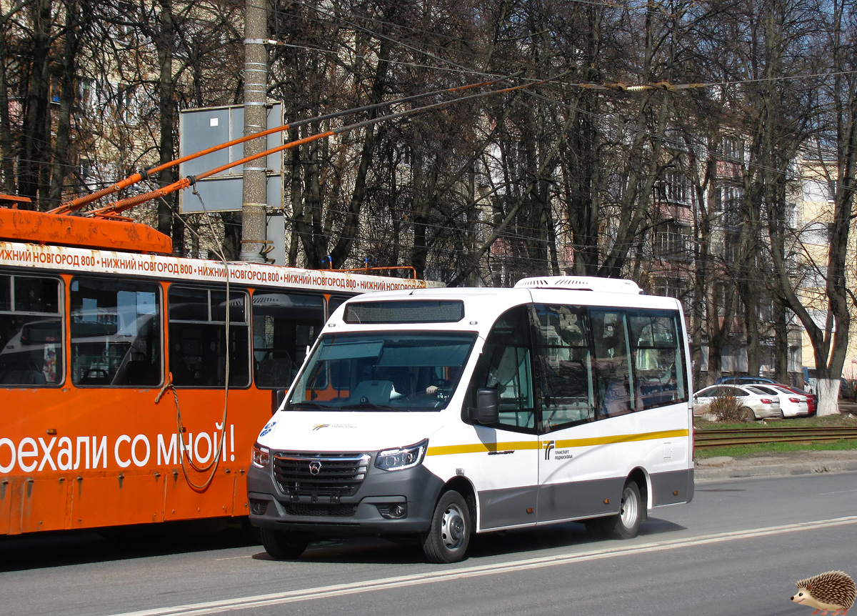 Нижегородская область — Новые автобусы Горьковского автомобильного завода; Московская область — Разные фотографии