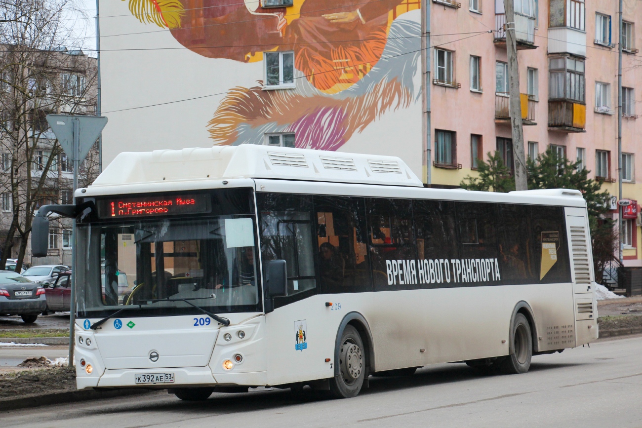 Новгородская область, ЛиАЗ-5292.67 (CNG) № 209