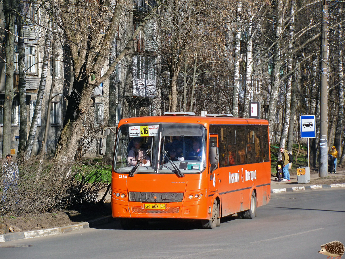 Нижегородская область, ПАЗ-320414-05 "Вектор" (1-2) № 73215