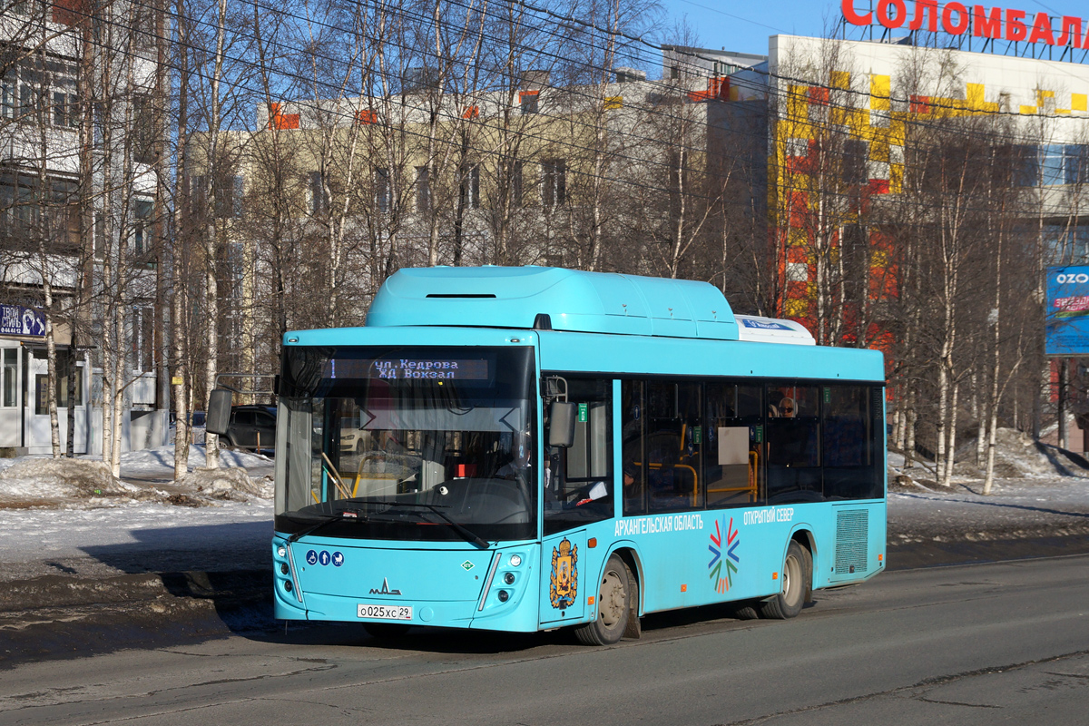 Архангельская область, МАЗ-206.948 № О 025 ХС 29