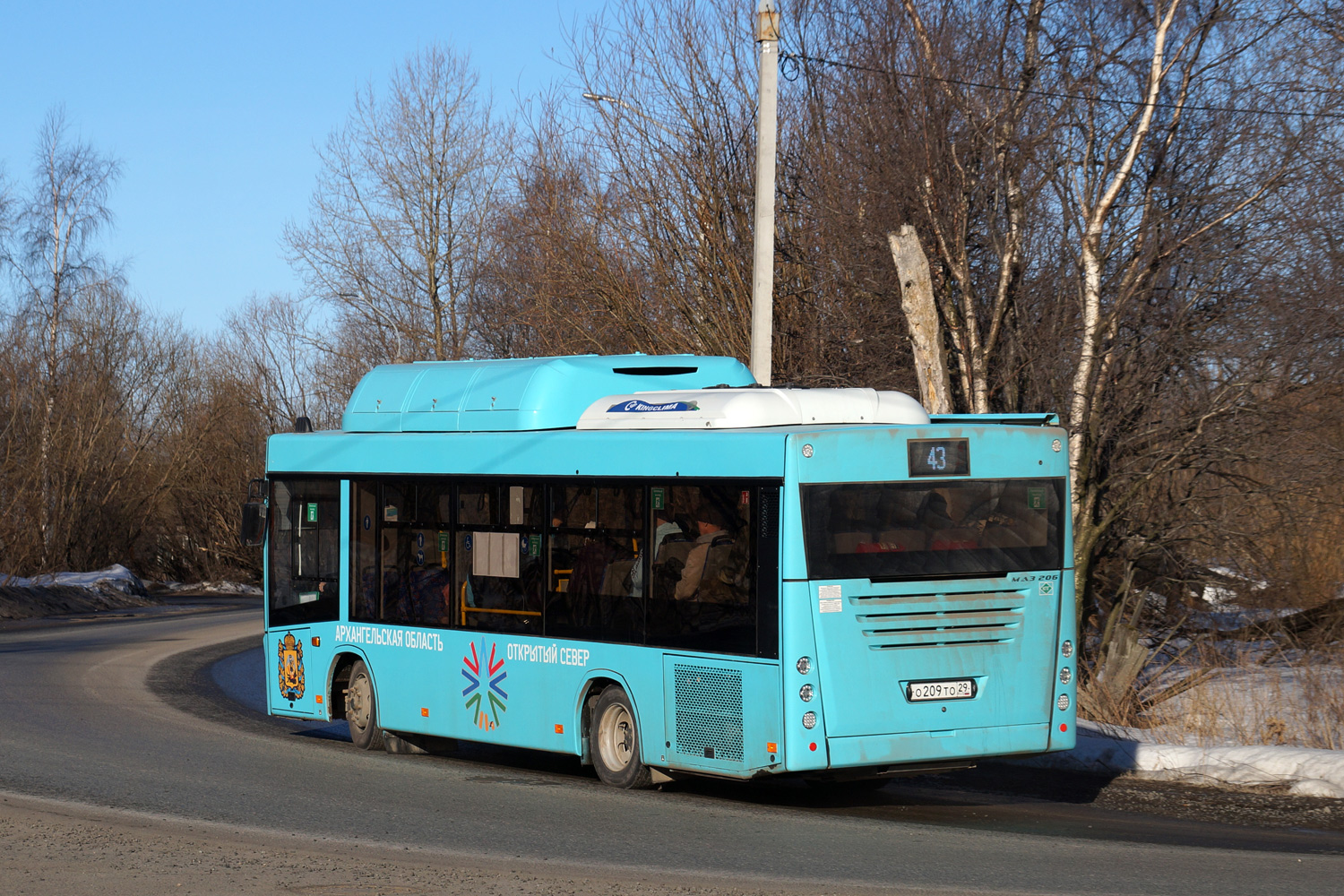 Архангельская область, МАЗ-206.948 № О 209 ТО 29