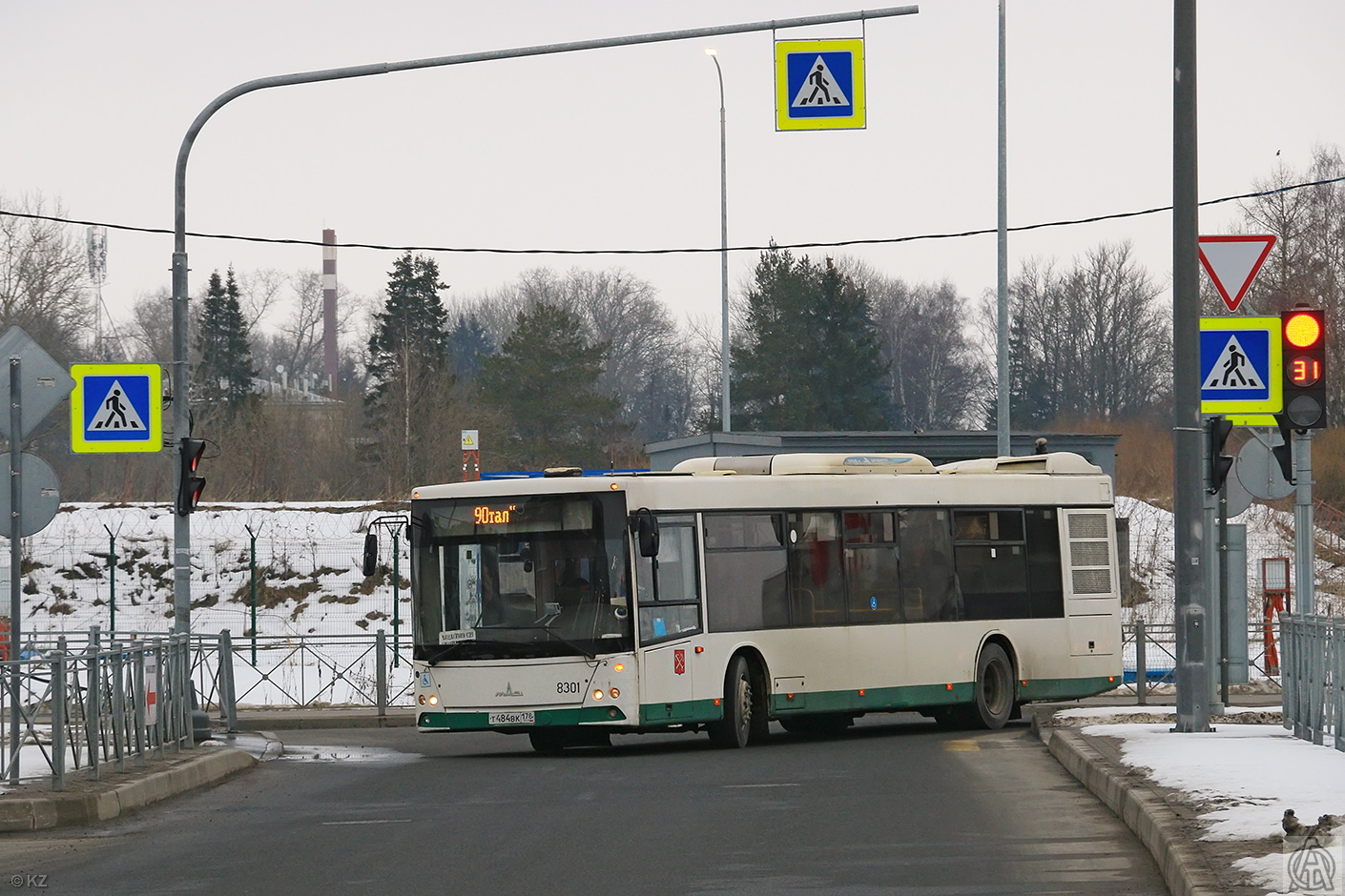 Санкт-Петербург, МАЗ-203.085 № 8301