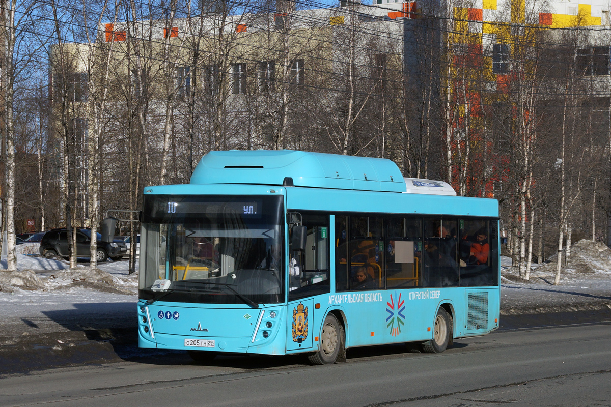 Архангельская область, МАЗ-206.948 № О 205 ТН 29