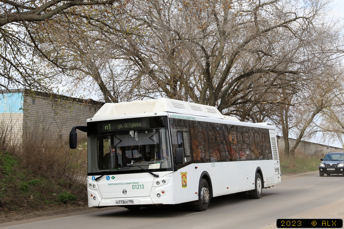 Воронежская область, ЛиАЗ-5292.67 (CNG) № 01213