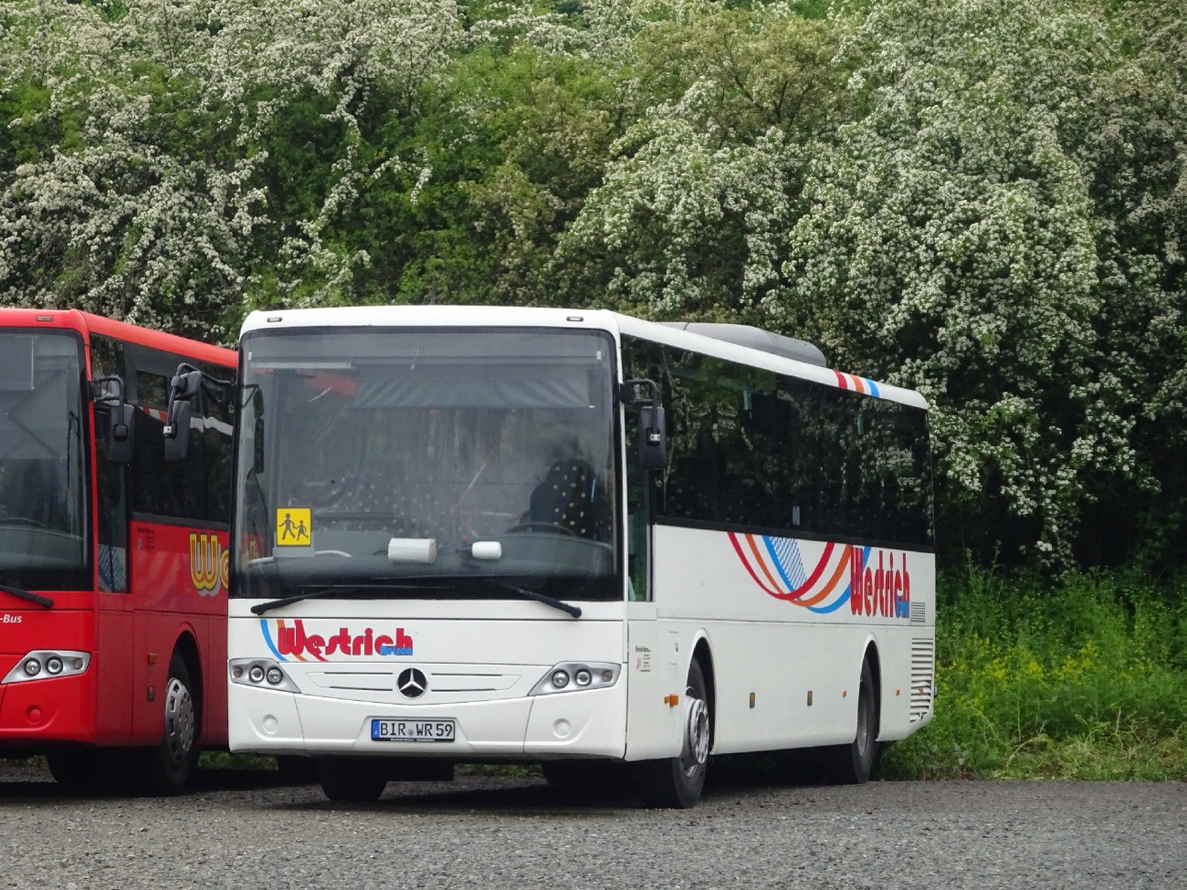 Rhineland-Palatinate, Mercedes-Benz Intouro II # BIR-WR 59