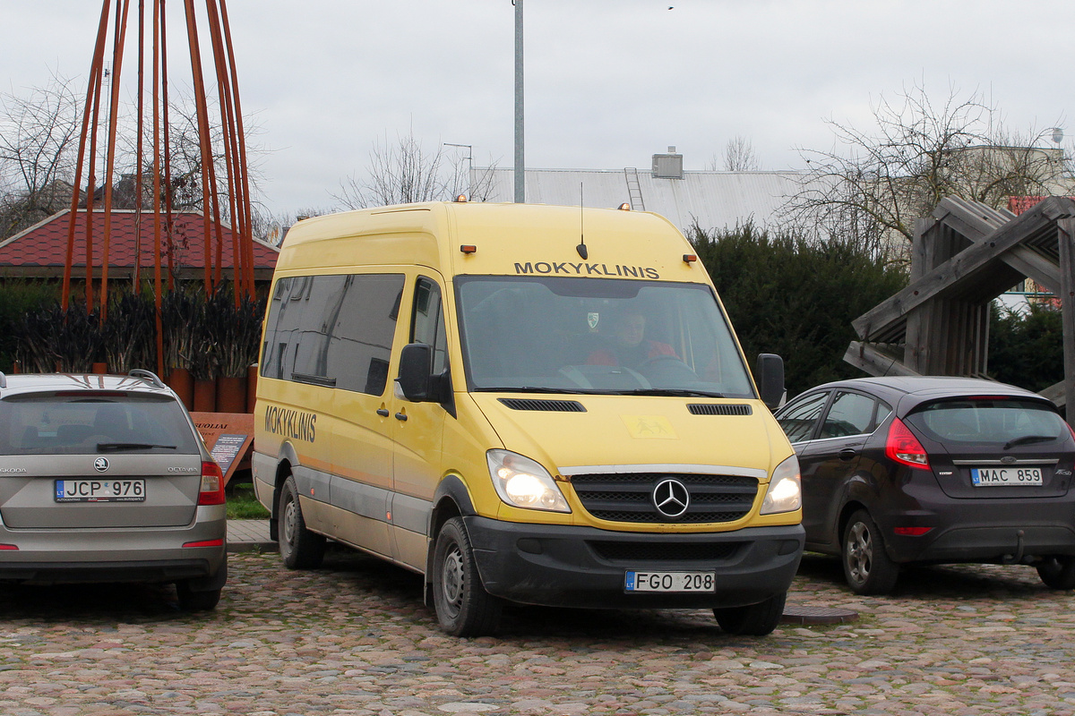 Литва, Mercedes-Benz Sprinter W906 311CDI № FGO 208
