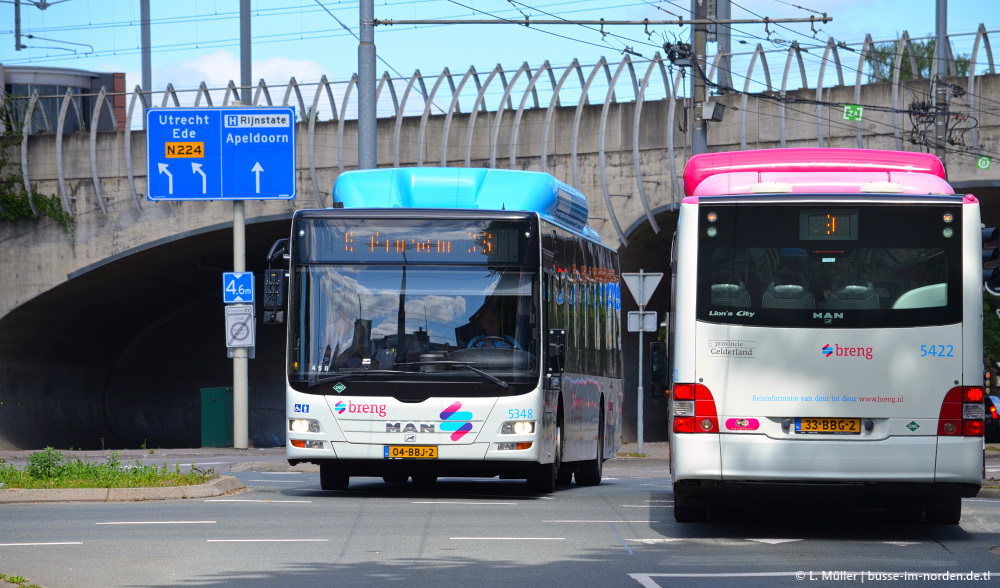 Нидерланды, MAN A21 Lion's City NL273 CNG № 5348