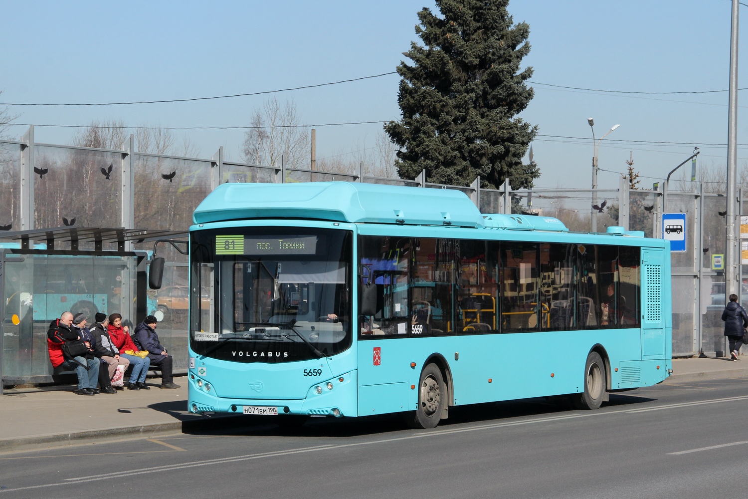 Санкт-Петербург, Volgabus-5270.G4 (CNG) № 5659