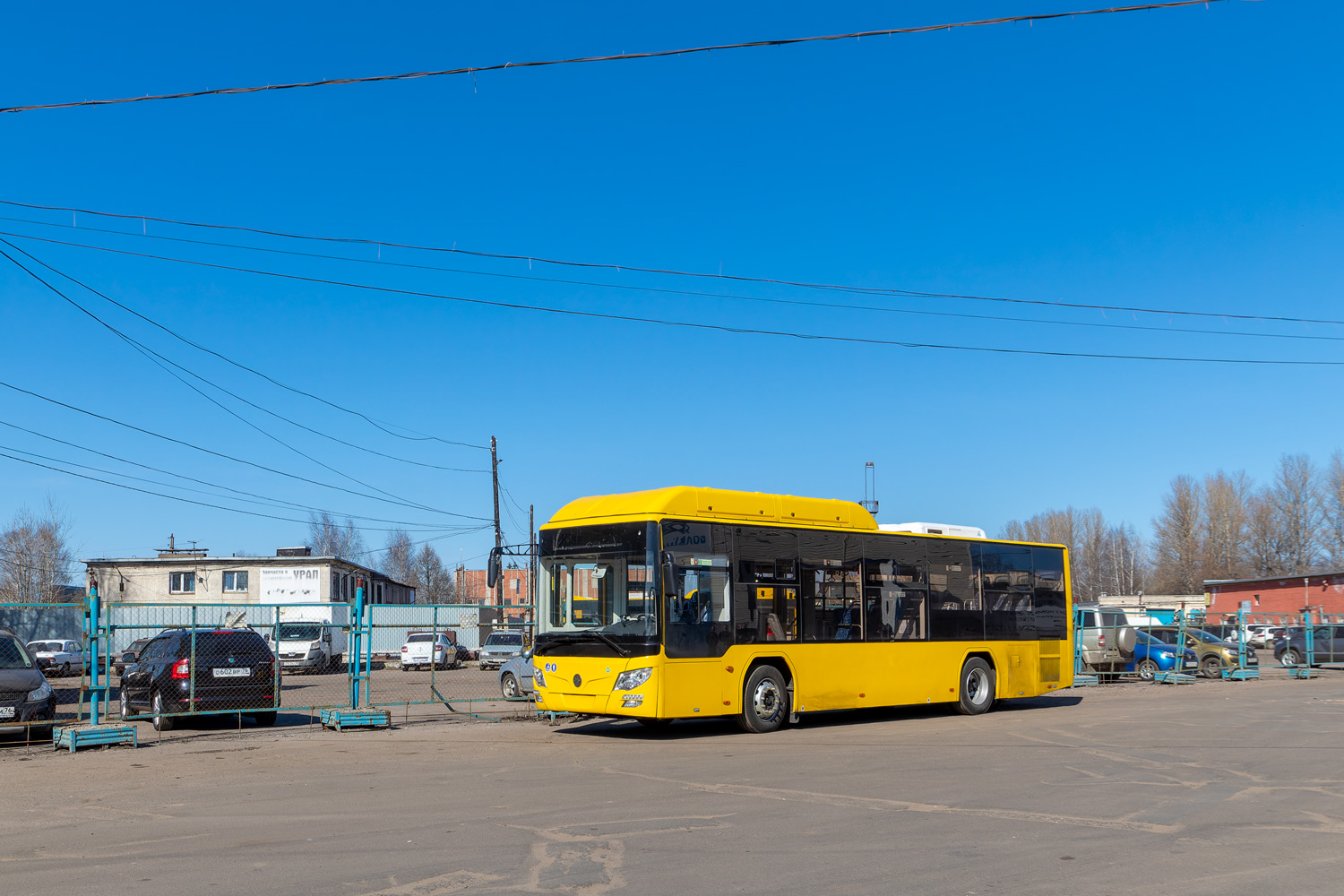 Ярославская область — Новые автобусы