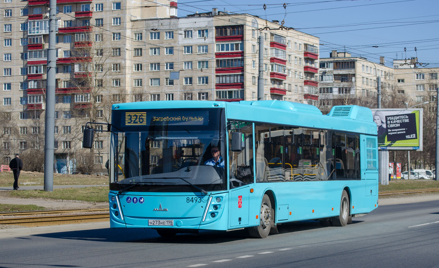 Санкт-Петербург, МАЗ-203.047 № 8493