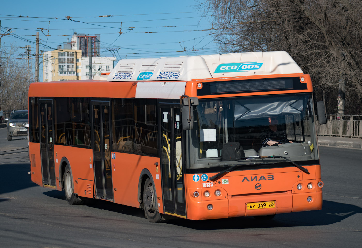 Нижегородская область, ЛиАЗ-5292.67 (CNG) № 15133