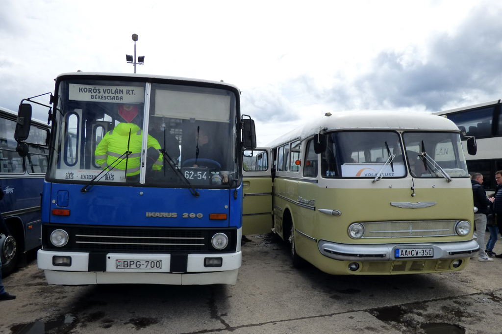 Węgry, Ikarus 260.50 Nr BPG-700; Węgry, Ikarus  55 Nr AA CV-350; Węgry — 2. Volánbusz Retro Nap, Hatvan (2023)