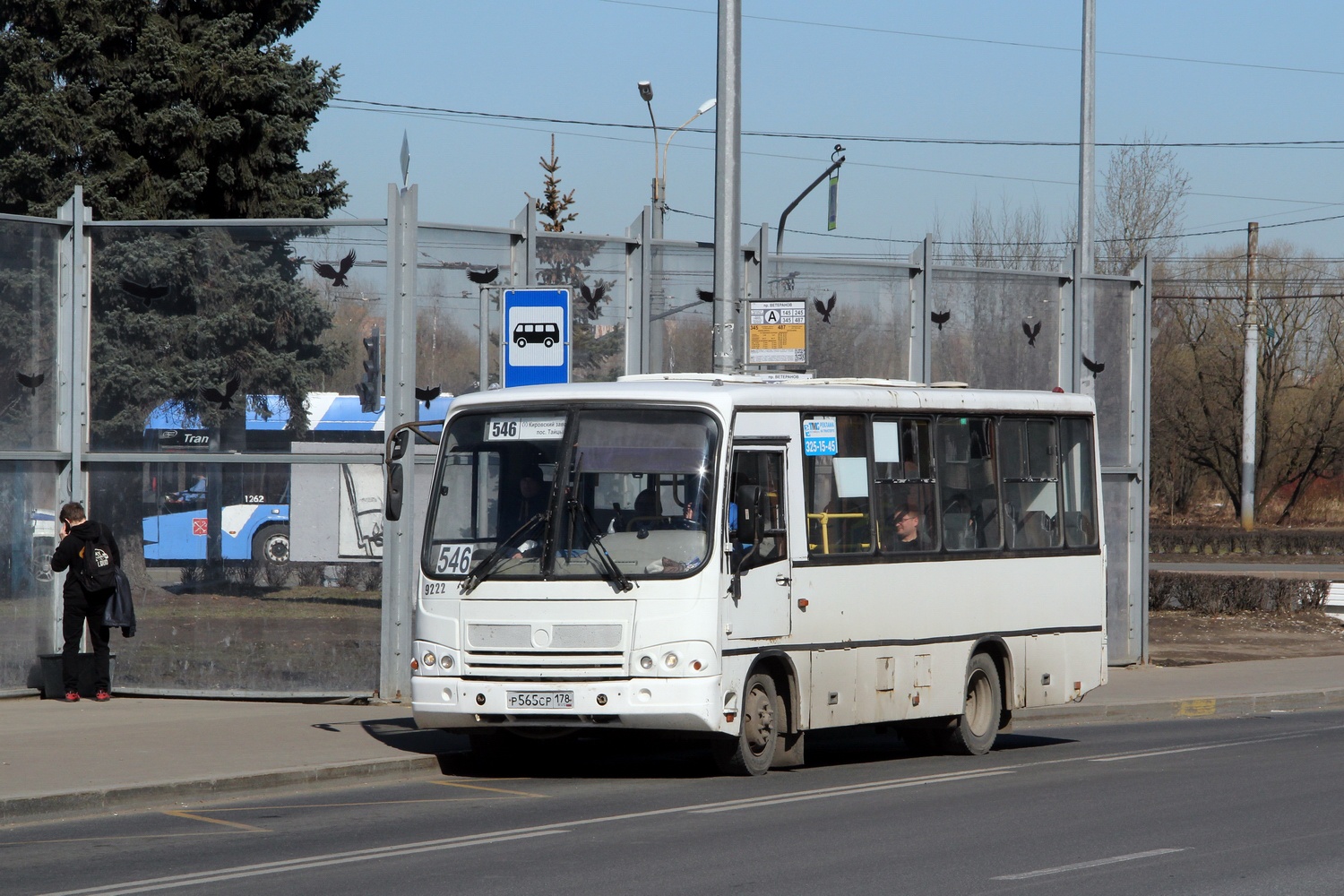 Ленинградская область, ПАЗ-320402-05 № 9222